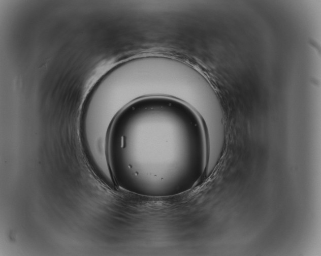 X0000090950152200708301147