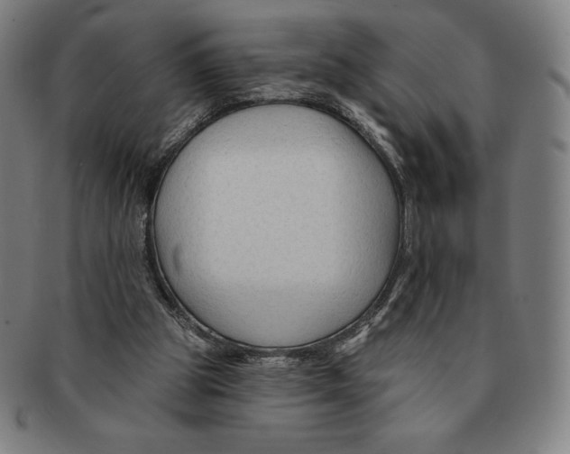 X0000090950153200708301147