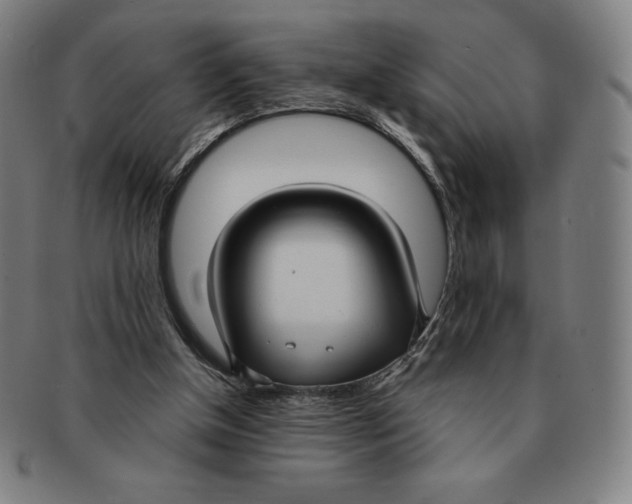 X0000090950154200708301147
