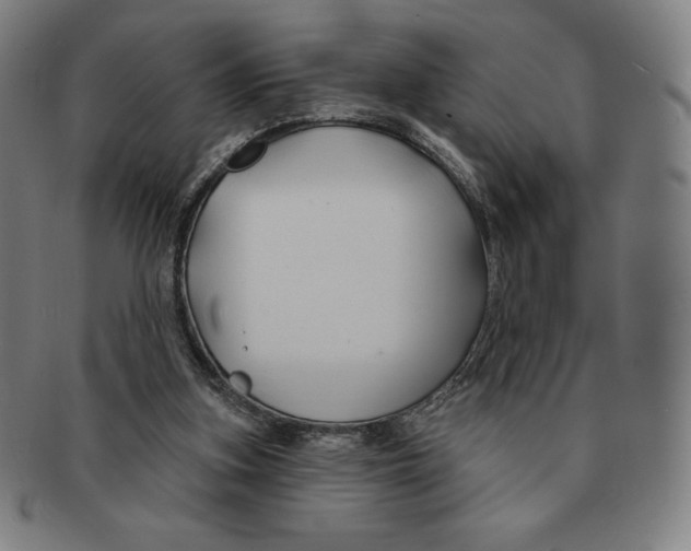 X0000090950155200708301147