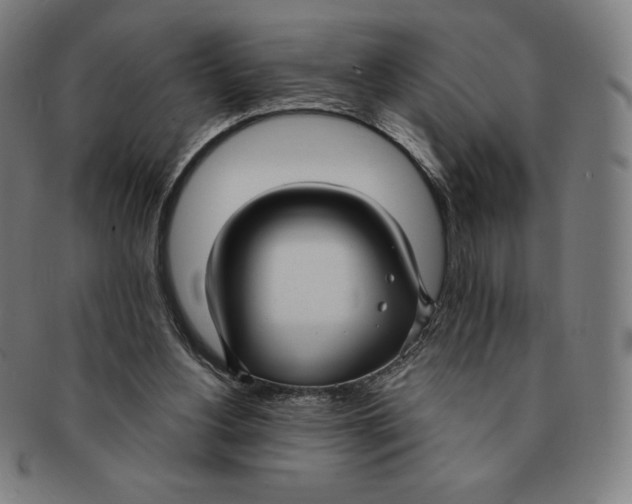 X0000090950156200708301147