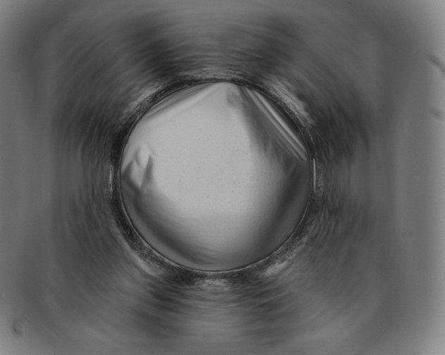 X0000090950157200708301147