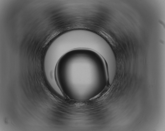 X0000090950158200708301147