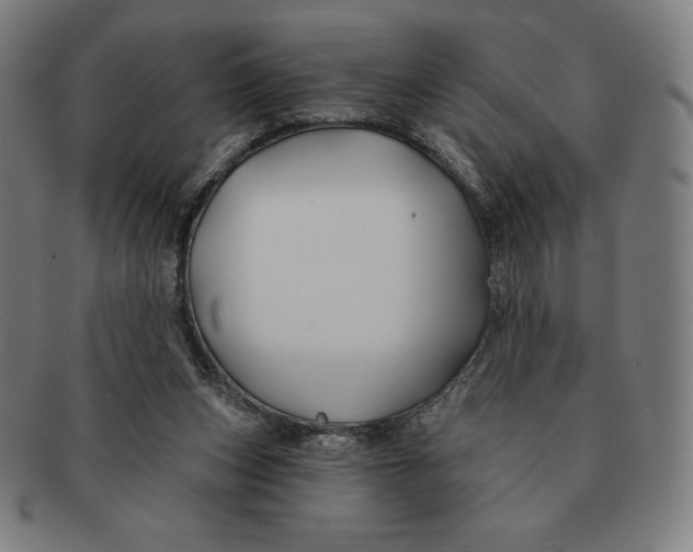 X0000090950159200708301147