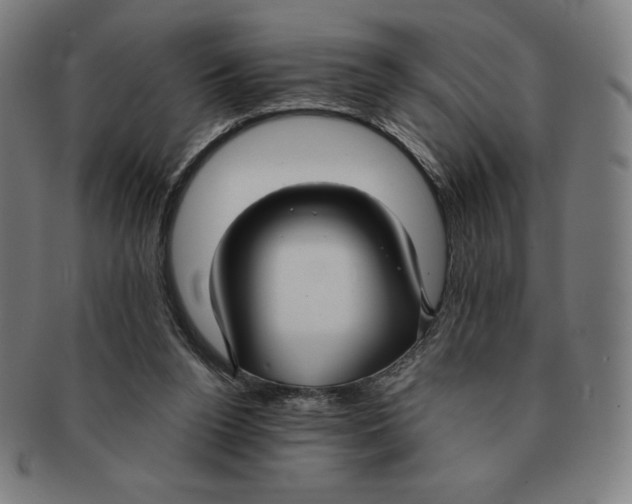 X0000090950160200708301147