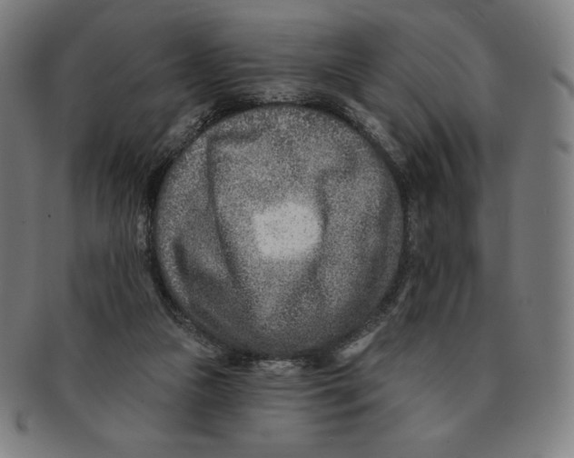 X0000090950161200708301147