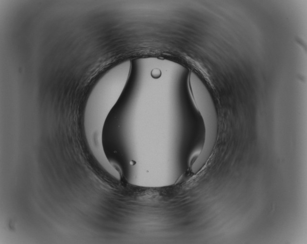 X0000090950162200708301147