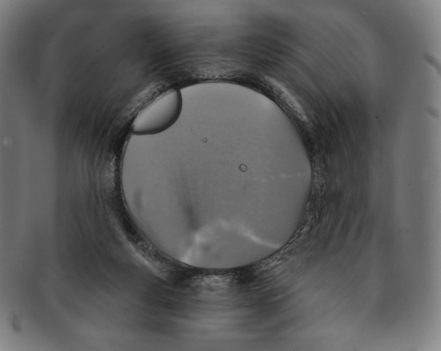 X0000090950163200708301148