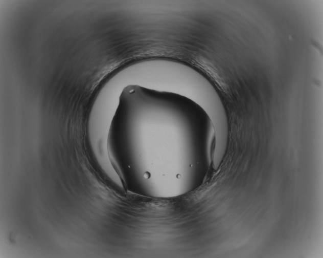 X0000090950164200708301148