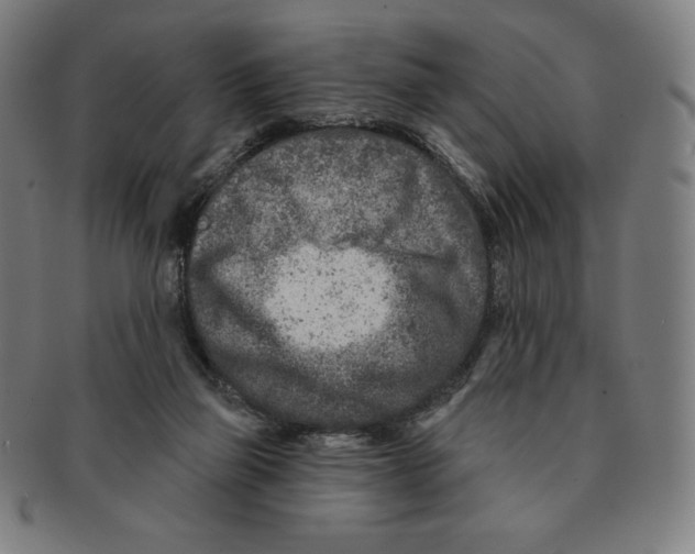 X0000090950165200708301148