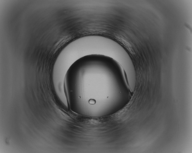 X0000090950166200708301148