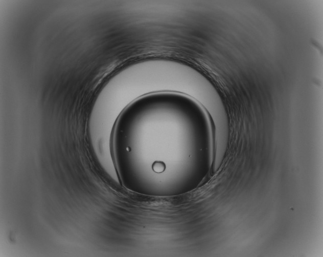 X0000090950168200708301148