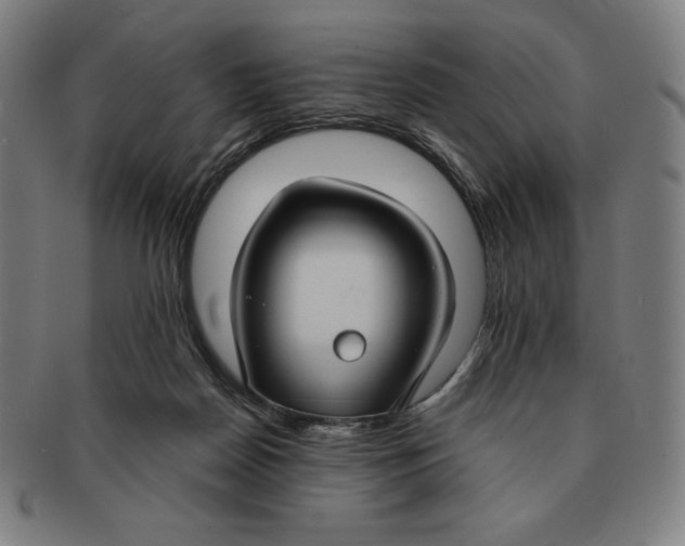 X0000090950170200708301148