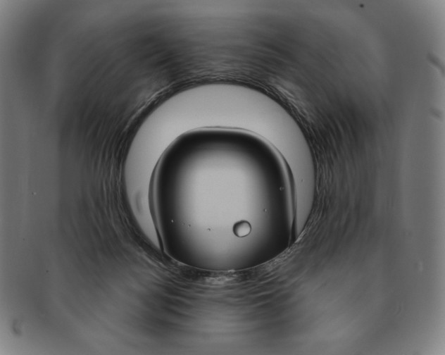 X0000090950172200708301148