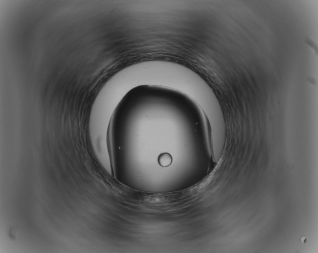 X0000090950174200708301148
