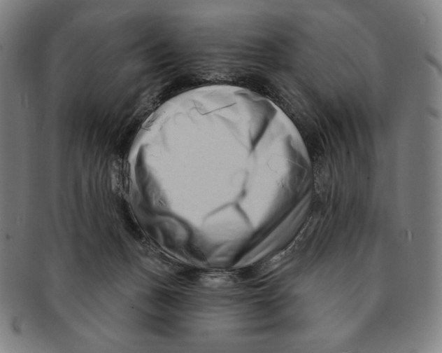 X0000090950175200708301148