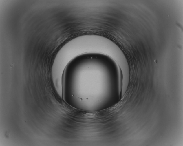 X0000090950176200708301148