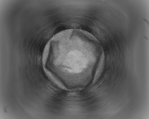 X0000090950177200708301148