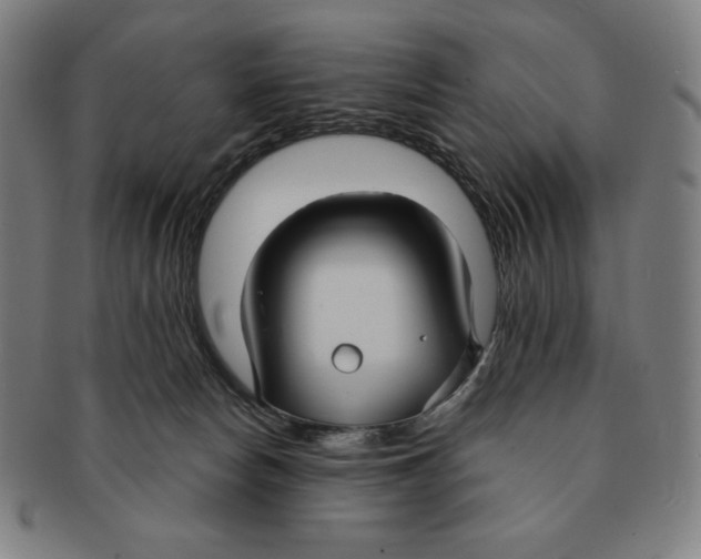 X0000090950178200708301148