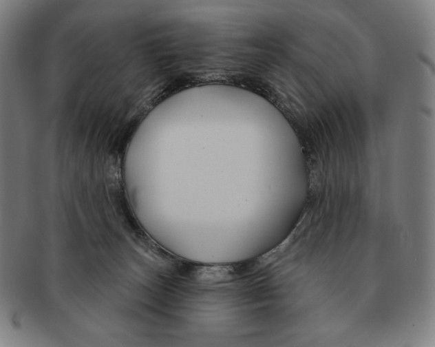 X0000090950179200708301148