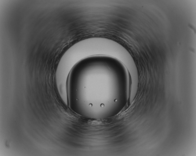 X0000090950180200708301148