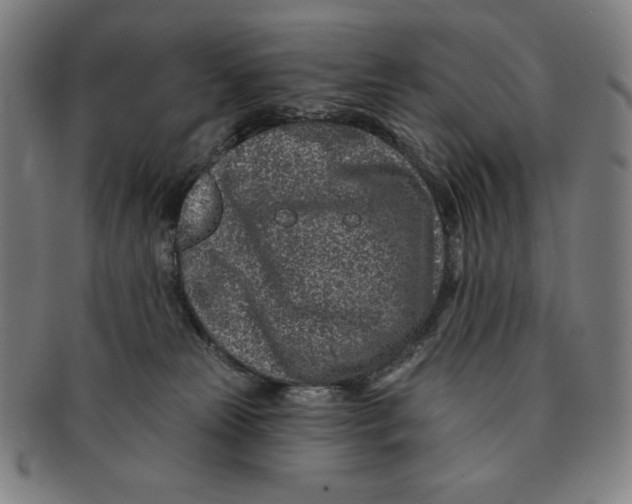 X0000090950181200708301148