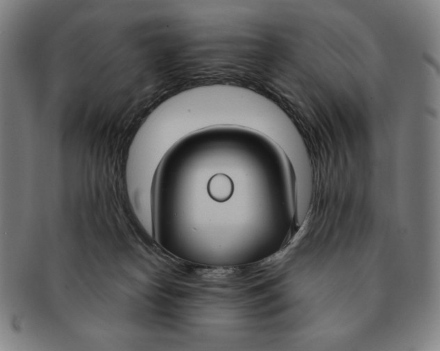X0000090950182200708301148