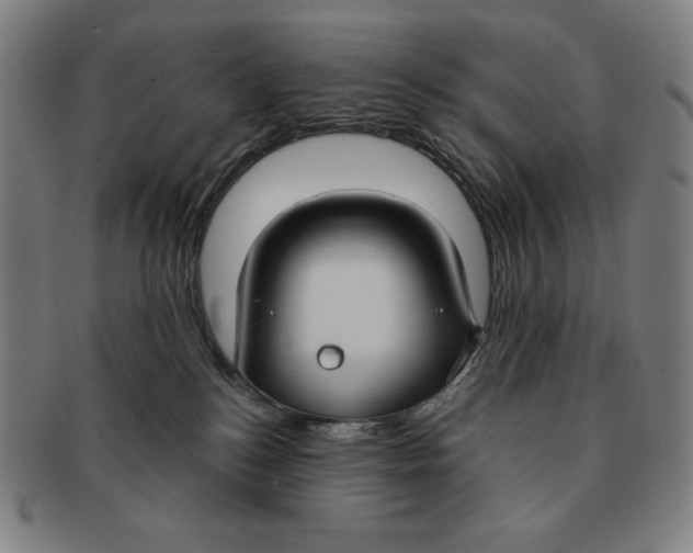 X0000090950184200708301148