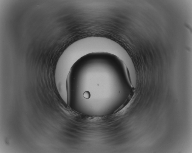 X0000090950186200708301148
