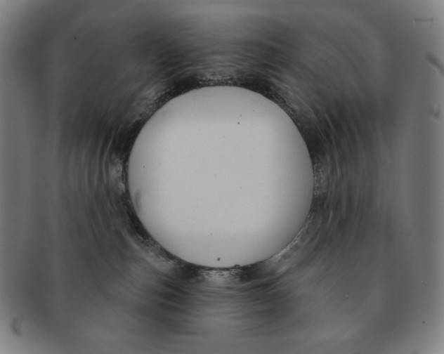 X0000090950187200708301148