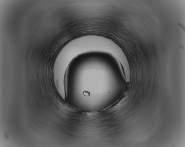 X0000090950188200708301148