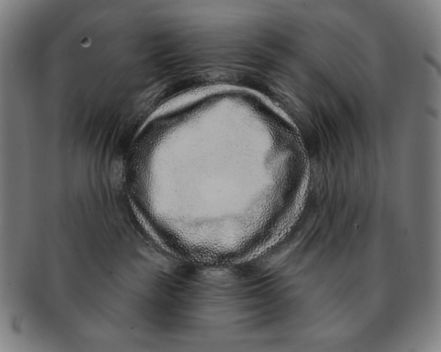 X0000090950189200708301148