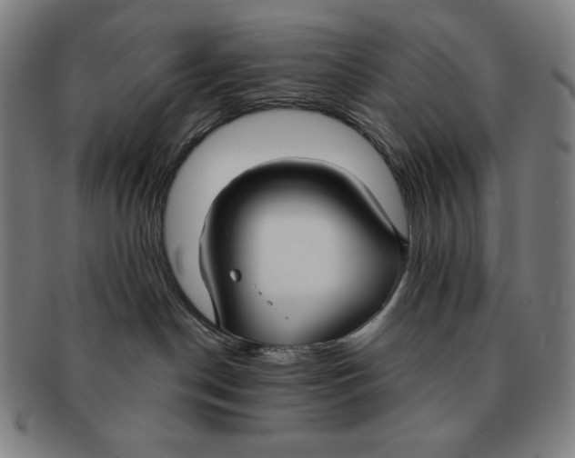 X0000090950190200708301148