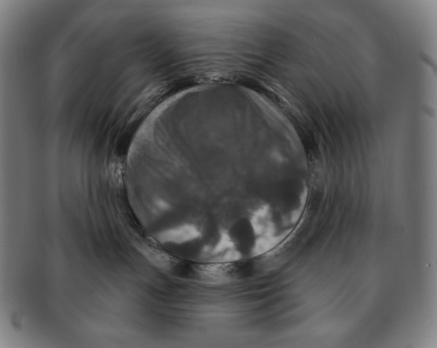 X0000090950191200708301148