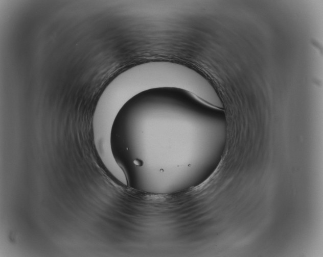 X0000090950192200708301148