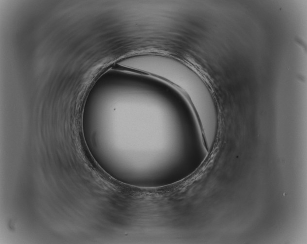 X0000090950193200708301147