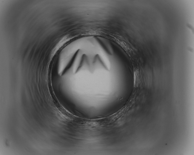 X0000090950195200708301147
