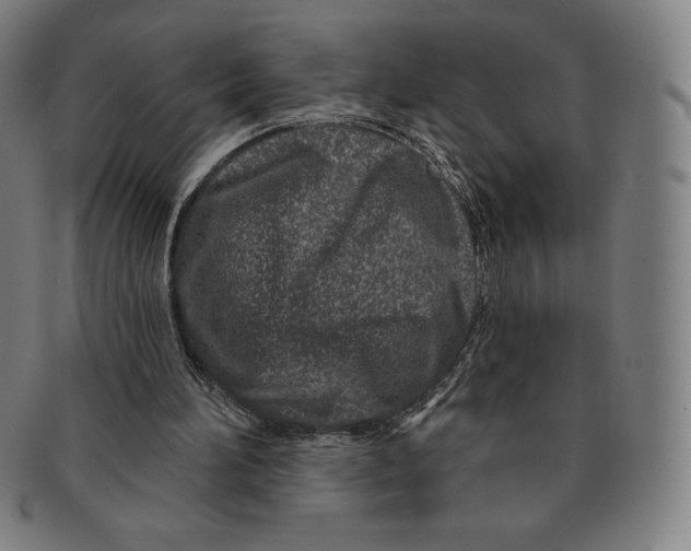 X0000090950196200708301147
