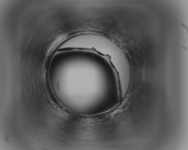 X0000090950197200708301147