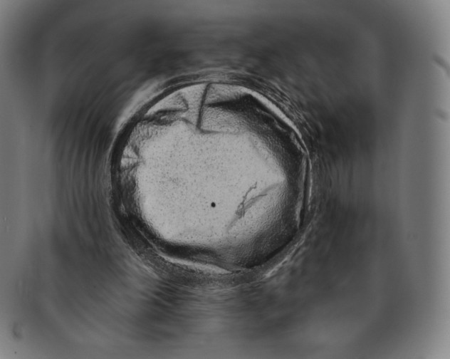 X0000090950198200708301147