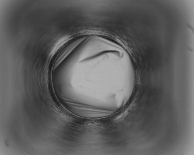 X0000090950199200708301147