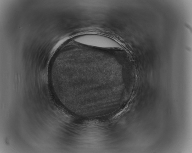 X0000090950200200708301147