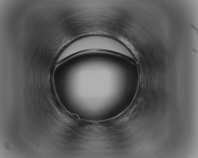 X0000090950201200708301147