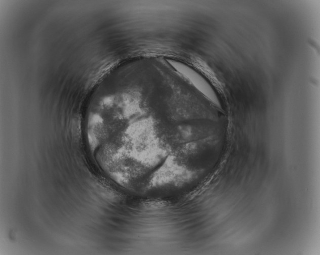 X0000090950202200708301147