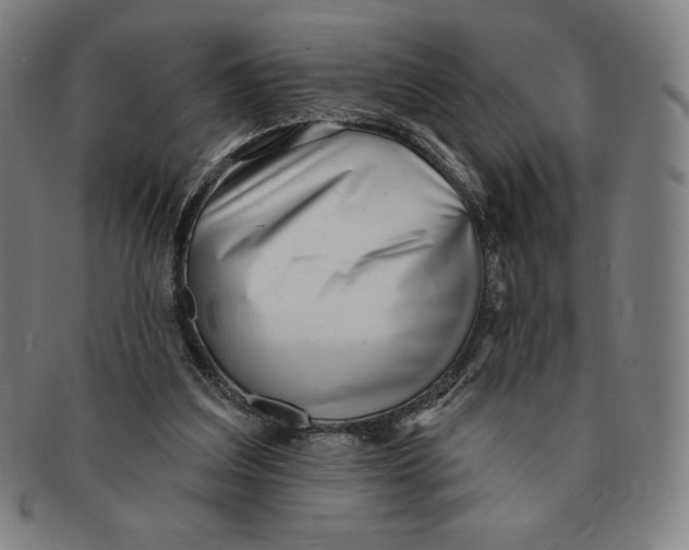 X0000090950203200708301147