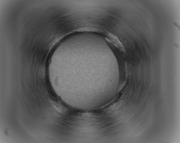 X0000090950204200708301147