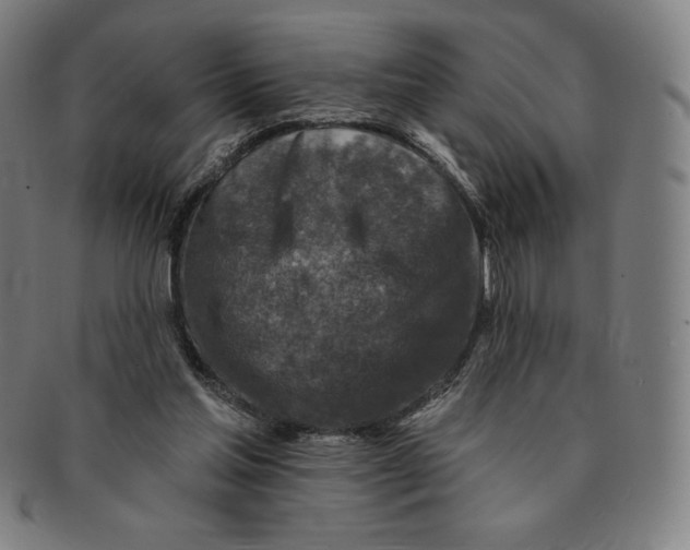 X0000090950205200708301147
