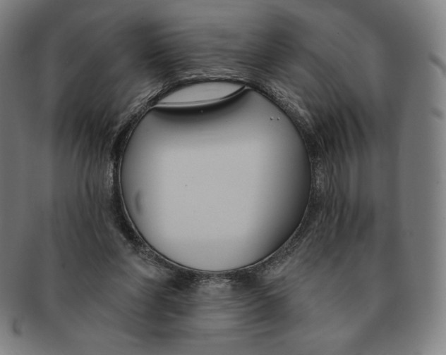 X0000090950206200708301147