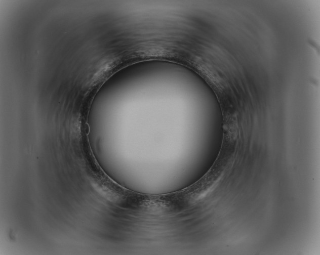 X0000090950207200708301147