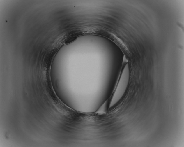 X0000090950209200708301147